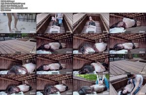 [半岛束艺] 半岛新家具试运行~卡菲-丝依依