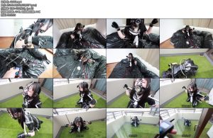 [D-Lemon] 拘束飼育completeplan-丝依依