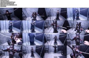 [D-Lemon] 10分ヒトイヌ拘束強制膝立ち調教complete plan 这个姿势很难久立啦…什么？项圈才没有支撑站立的作用-丝依依