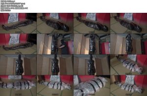 [象人原创] 伪娘蓝蓝布基胶带透明袋子1H全包-丝依依