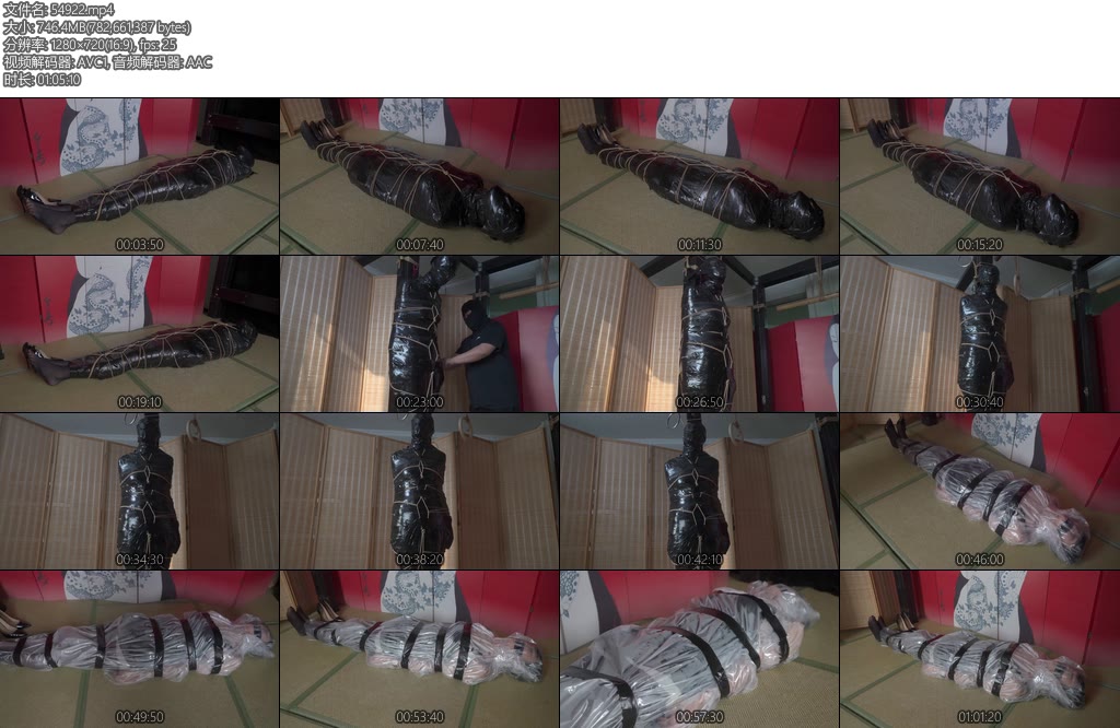 [象人原创] 伪娘蓝蓝布基胶带透明袋子1H全包-丝依依