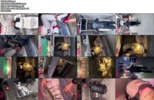 [媚娘] 狗奴想体验人来人往的市场该怎么办-丝依依