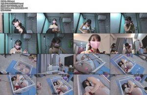 [海砂原创] 被电击后发声的圣诞节礼物自行打包全过程-丝依依