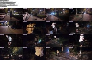 [长颜草] 霜喵外出TD刺激伸手抚摸下部 强制下跪呻吟不断吊带丝袜-丝依依