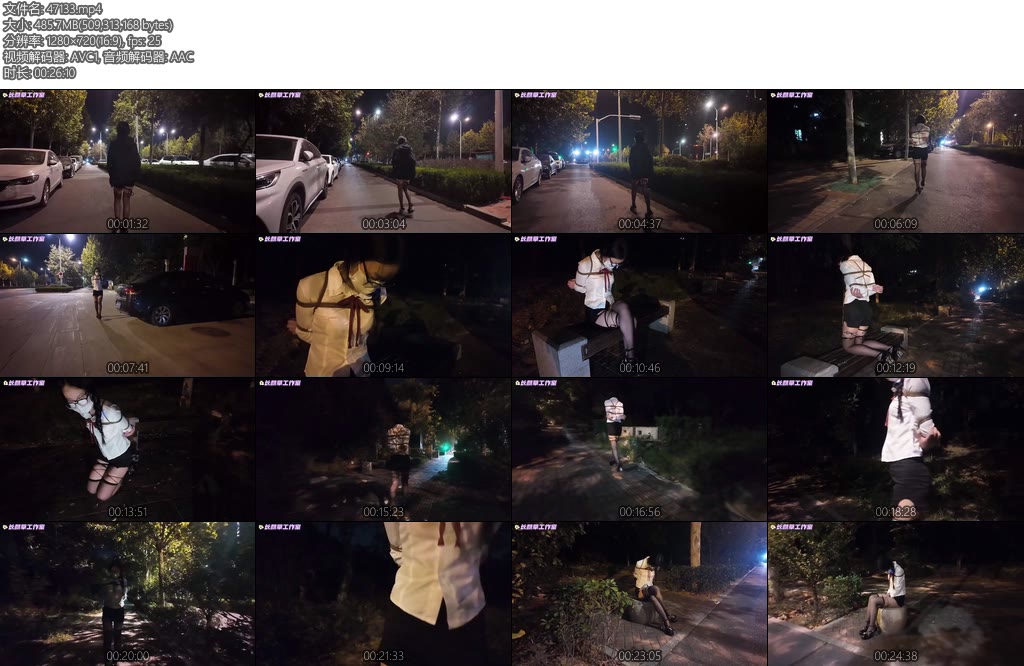 [长颜草] 霜喵外出TD刺激伸手抚摸下部 强制下跪呻吟不断吊带丝袜-丝依依