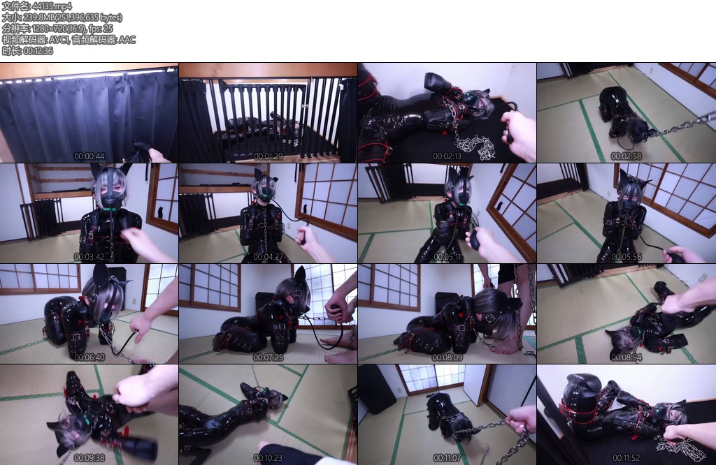 [D-Lemon] Durianラバーヒトイヌバルーン責めFULL-丝依依