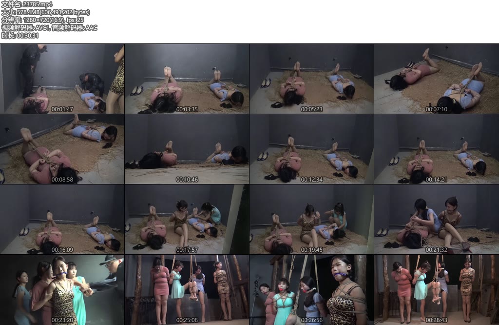 [胜景影视] 连续剧落难姐妹（第十八集）-丝依依