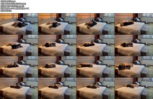 [亚洲绳艺] 厚黑丝袜 M妻被严厉捆堵放置在酒店的俩肉货-丝依依