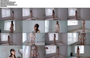 [Raymond] 一种奴力起重装置由股绳触发奴力并通过滑索改变导轨钢钩的动力方向以提供垂直运输动力钢钩贴身股绳开口器脚底钉等-丝依依