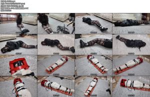 [枫叶原创] 惊魂影视公司之落入全套的女明星下-丝依依