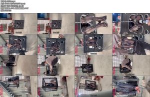 [媚娘原创] M初次尝试狗笼-丝依依