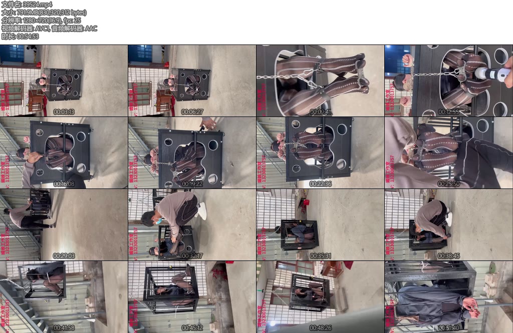 [媚娘原创] M初次尝试狗笼-丝依依