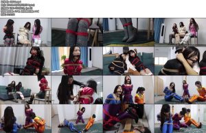 [得意客] BD无限公司第二季特务支援科营救篇-丝依依