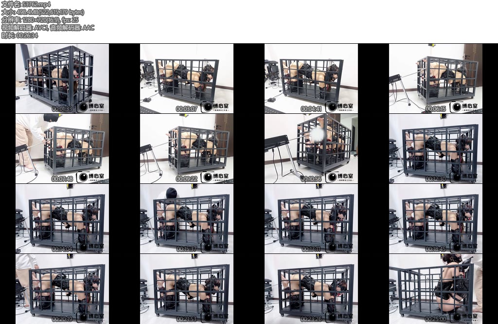 [缚心室] 175长腿女神的兔笼体验K9套装扔笼子里炮机AV棒各种折磨完全没有活动空间只能无助地哀嚎-丝依依