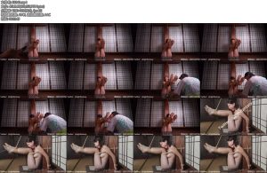 [哈莉奎因] 维维束缚强高-丝依依