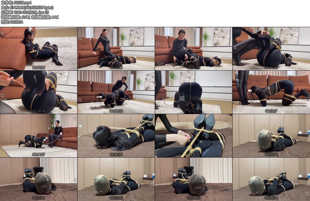 [云雀原创] 不自量力的女飞贼下女飞贼道行太浅惨遭女特工反擒被K9犬缚遛狗羞辱最后被超紧驷马调教后彻底沦为女特工的奴隶-丝依依