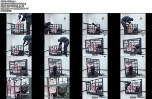 [冥想原创] 琪琪完美复刻house of gord兔笼第二期绝对禁锢马具口塞口水地狱-丝依依