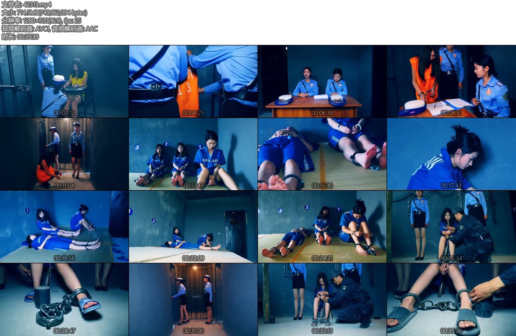 [胜景影视] 新片红颜薄命（中集）-丝依依