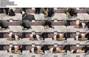 [雨辰原创] 训犬实录之汐汐圈养日记（2）K9SP开发引导强制挣扎呻吟惨叫求饶安抚洗脑引领跟随进入-丝依依