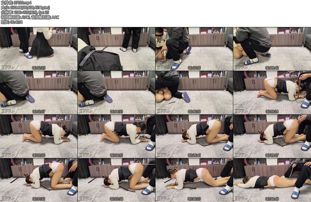 [雨辰原创] 训犬实录之汐汐圈养日记（2）K9SP开发引导强制挣扎呻吟惨叫求饶安抚洗脑引领跟随进入-丝依依