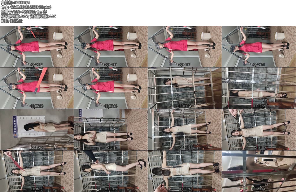 [皖北原创] 超正新人小染金属体验牢笼狗绳皮鞭双色旗袍脚镣十字拷等-丝依依