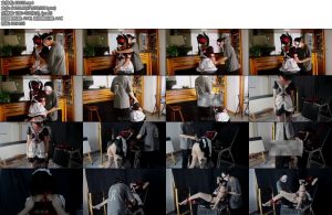 [潮汐原创] 双马尾女仆难以启齿的秘密-丝依依