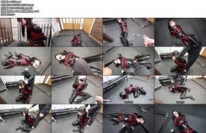 [D-Lemon] ラバー拘束引きずり回しcompleteplan-丝依依