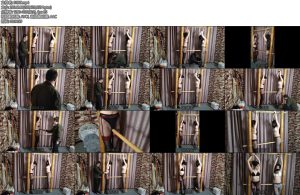 [束缘阁] 双人柱子木马-丝依依