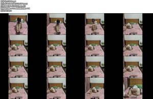 [亚洲绳艺] 同好定拍团缚＋放置-丝依依