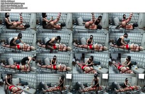 [安安的安] 墨月与安安全身肉丝超严厉捆堵无情硬核强制榨汁墨月黑丝女王气场全开-丝依依