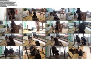 [新月原创] 佳怡定拍很惨的缚性感黑丝遮羞衣超短裤高跟鞋肉丝对镜拍日式捆绑吊缚-丝依依