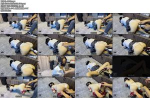 [雨辰原创] 小Gou的日常内衣捆绑K9调教羞辱玩阴强制X_XAV棒点潮笔加持哭泣求饶-丝依依