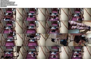 [灵儿原创] 不服捆绑调教的伪娘小犟种上集-丝依依