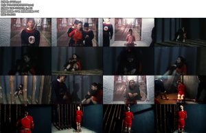 [胜景影视] 新古装女囚片冤狱上集县太爷为了前途邀功他邀请江湖女侠平乱女侠平完乱县太爷过河拆桥诱捕女侠-丝依依