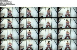 [亚洲绳艺] あの子、どうしてるかなビデオ通話で状況確認-丝依依