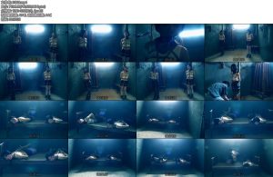 [胜景影视] 特战出击（下集）-丝依依