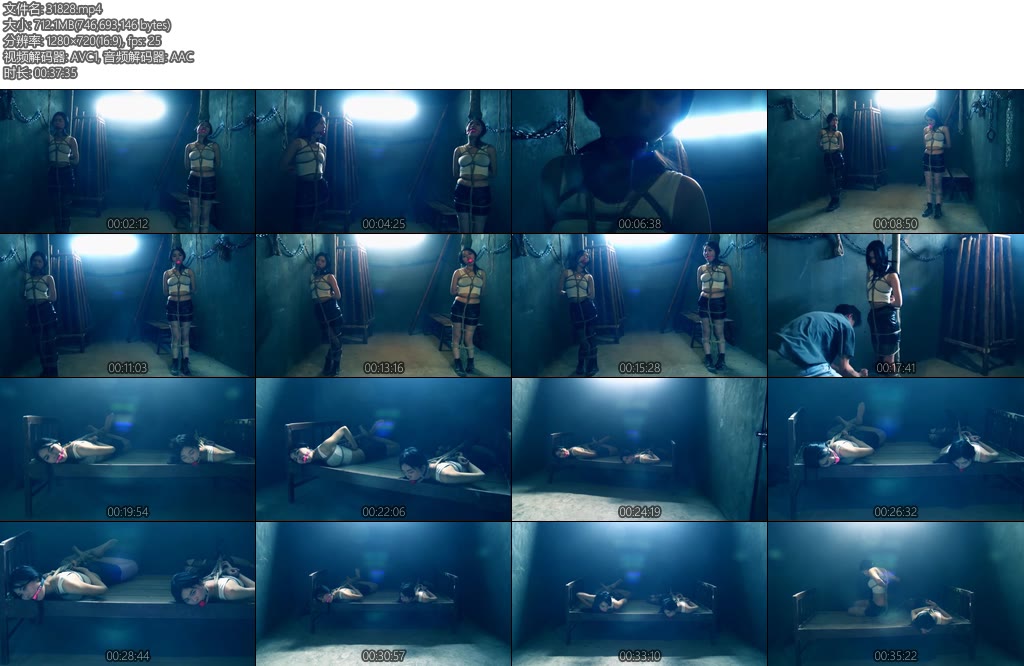 [胜景影视] 特战出击（下集）-丝依依