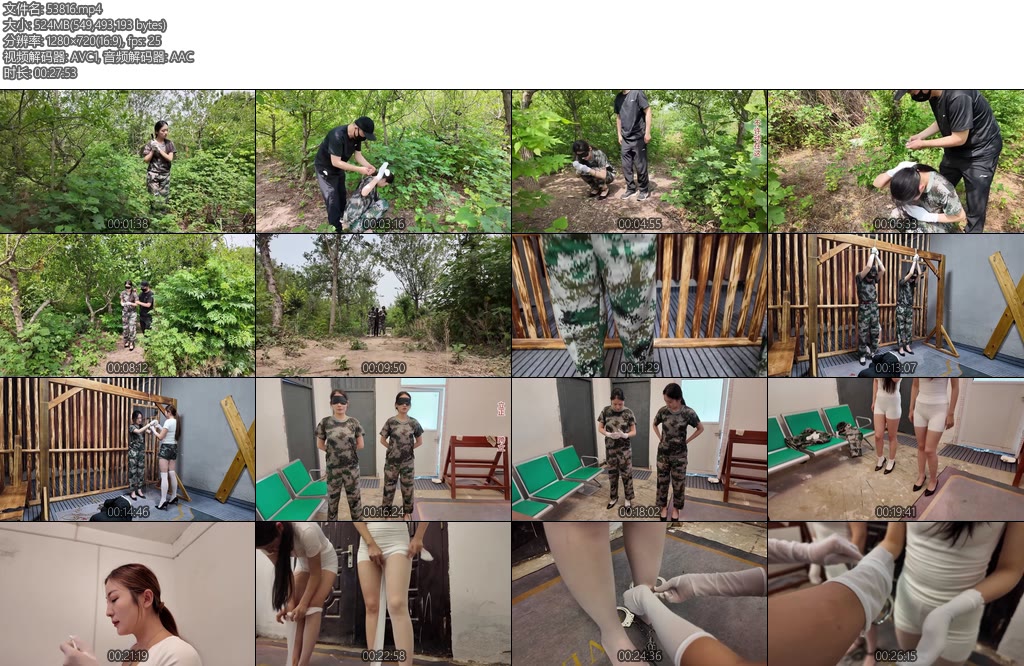 [李大侠] 内部审查特别考验一-丝依依