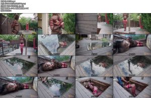 [半岛束艺] 绿鳄自己选的坑含泪也要跳-丝依依