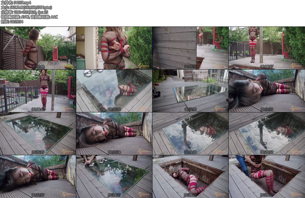 [半岛束艺] 绿鳄自己选的坑含泪也要跳-丝依依