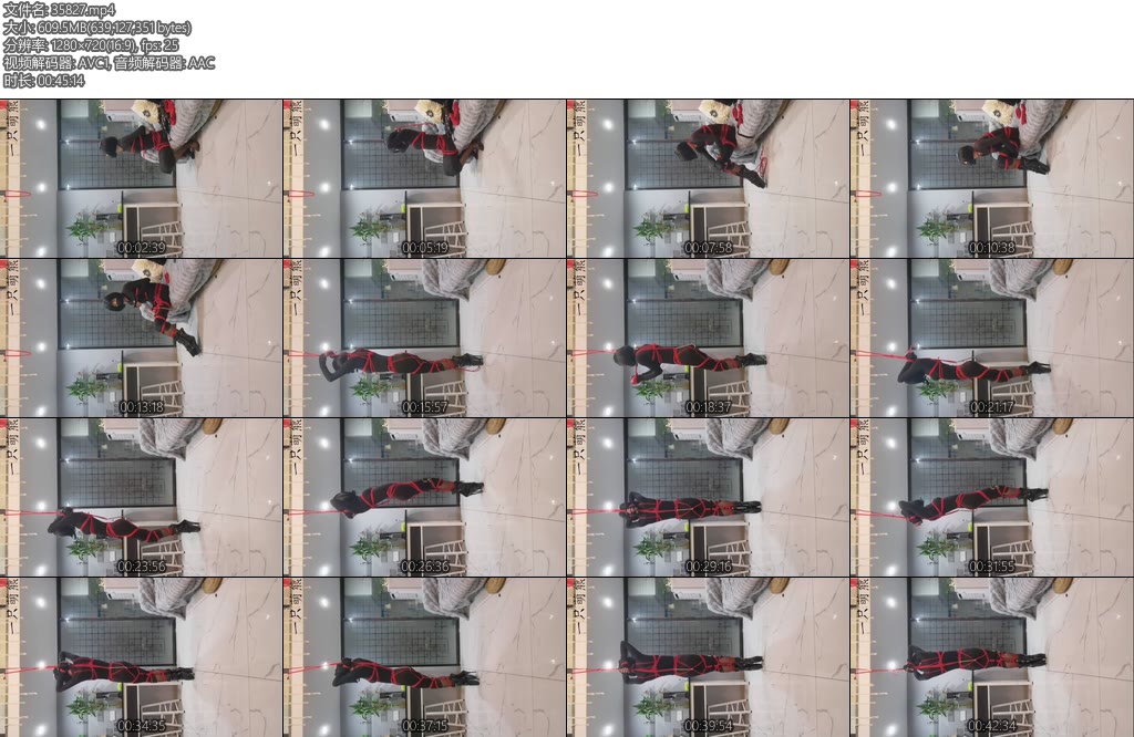 [一只萌熊] 连身裙肛钩芭蕾高跟电击定时罚站-丝依依