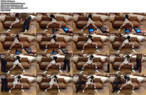 [亚洲绳艺] 白ブレザー制服女子がソファに縛られてムチ責めや電気責めくすぐりに遭うN子-丝依依