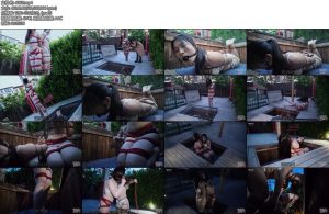 [半岛束艺] 缇娜奎因诱饵和陷阱-丝依依