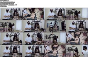 [半岛束艺] 爱在半岛Raymond夫妇访谈-丝依依