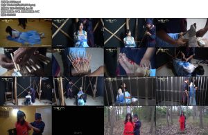 [一绳有你] 天下星冤柳家大小姐满门抄斩被县衙打板子拶子滴蜡挠脚心驷马鞭打小树林斩首示众-丝依依