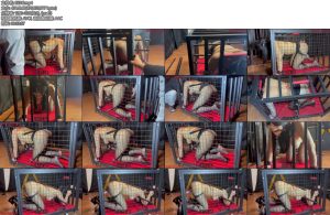 [悦感日记] 小美狗笼囚禁强制炮J滴蜡多时间囚禁全程惨叫直接虚脱-丝依依