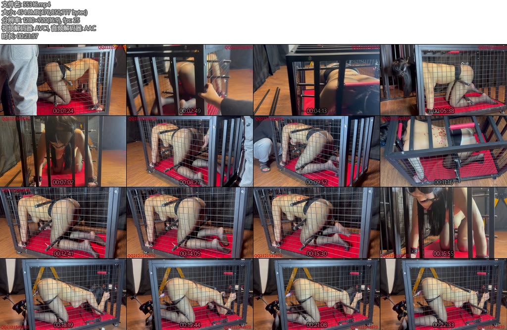 [悦感日记] 小美狗笼囚禁强制炮J滴蜡多时间囚禁全程惨叫直接虚脱-丝依依
