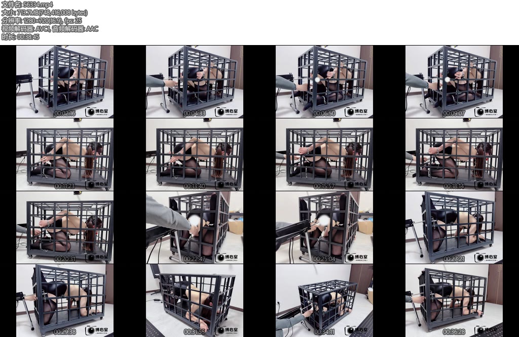 [缚心室] 包臀黑丝双马尾女学生再战铁笼炮机AV棒持续输出不知道是爽还是痛苦扭着屁股哀求炮机停了自己动-丝依依