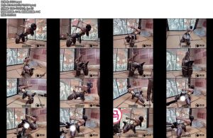 [缚心室] 黑丝爆乳套装小美女极限直臂缚啵啵贝炮机AV棒轮流上阵秒C神器超长时间失控模式痛苦挣扎口水直流直接玩到脱力-丝依依