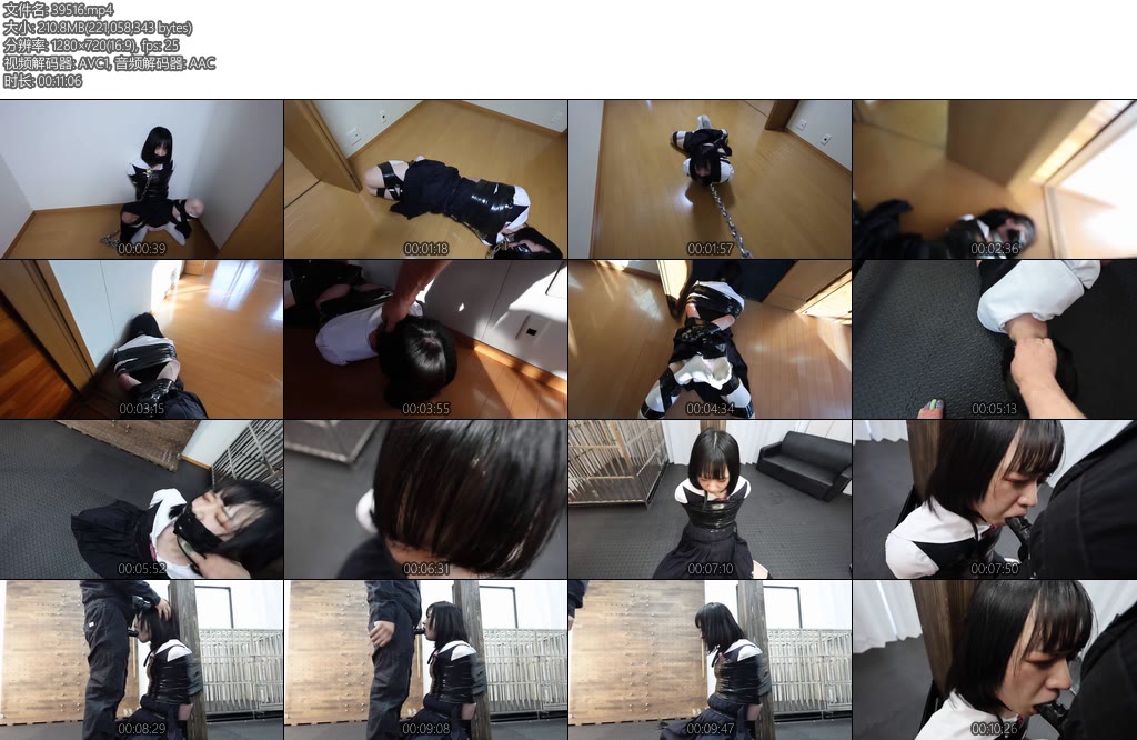 [D-Lemon] 拘束引き回しイラマ調教complete plan-丝依依